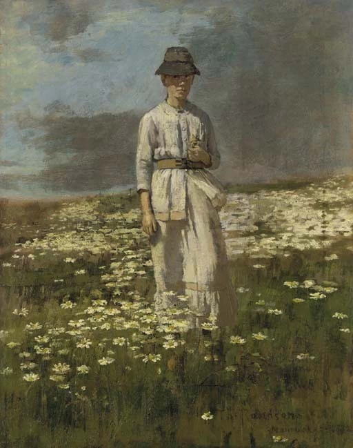 Campo di margherite